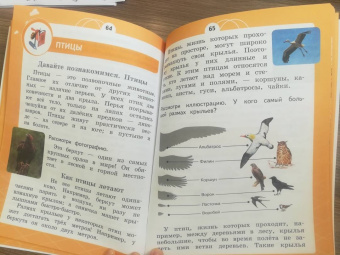 Татьяна Шпотова: Естествознание. 1 класс. Азбука экологии. Учебник. ФГОС