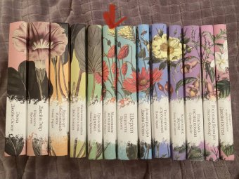 Гюстав Флобер: Госпожа Бовари