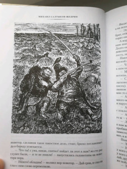 Михаил Салтыков-Щедрин: История одного города. Господа Головлевы. Сказки