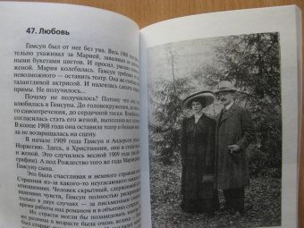 Николай Надеждин: Кнут Гамсун. "Грешники и праведники"