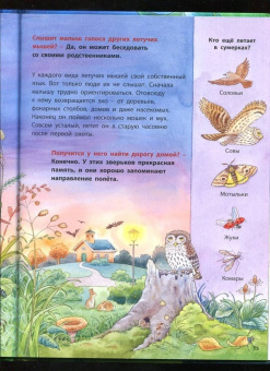 Фридерун Райхенштеттер: Куда летит летучая мышь? Познавательные истории