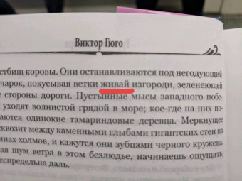 Виктор Гюго: Труженики моря
