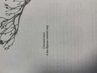 Дженнифер Бенкау: Одна истинная королева. Книга 1