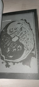 Исин Нисио: Death Note. Другая тетрадь. Дело о серийных убийствах B.B. в Лос-Анджелесе