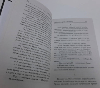 Джеймс Дэшнер: Разрезающий лабиринт