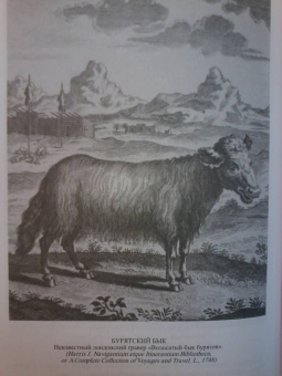 Владимир Чекмарев: Россия в английской графике (1553-1761 гг.)