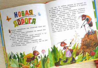 Носова, Носов: Сказки мамы и папы