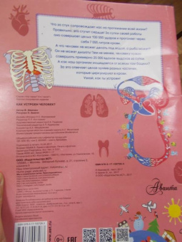 Вера Иванова: Как устроен человек?