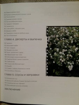 Елизавета Глузская: Из кухни с любовью! Как приготовить счастье по рецепту