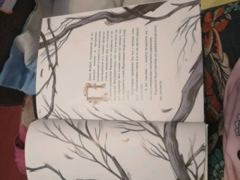 Холли Блэк: Как король Эльфхейма научился ненавидеть истории