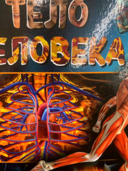 Маркус Джонсон: Тело человека. Виртуальная реальность