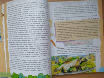 Тамара Николаева: Там, на неведомых дорожках...
