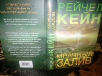 Рейчел Кейн: Мрачный залив