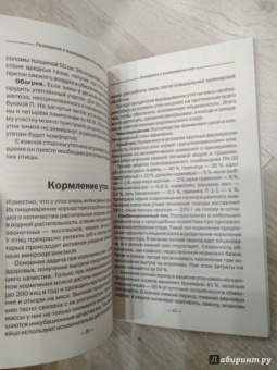 Разведение и выращивание уток, индоуток и гусей обычных пород и бройлеров