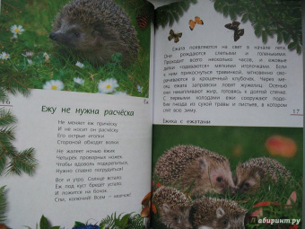 Александр Тихонов: Лесные тайны