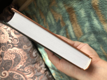 Анна Тодд: До того как