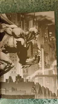 Фрэнк Миллер: Все звезды. Бэтмен и Робин, Чудо-Мальчик. Абсолютное издание