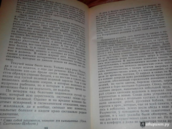 Михаил Салтыков-Щедрин: Пошехонская старина