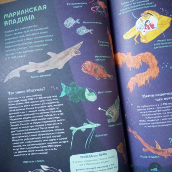 Амандин Тома: Через океаны