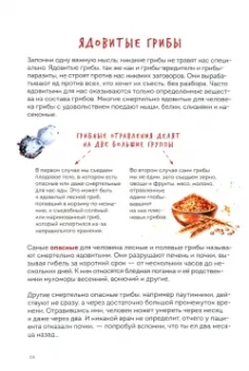 Михаил Вишневский: Грибы. Атлас-определитель