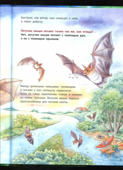 Фридерун Райхенштеттер: Куда летит летучая мышь? Познавательные истории