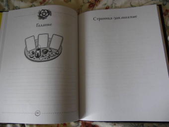 Полина Лопухина: Witch Journal. Ведьмовские практики круглый год