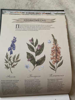 Секретная жизнь фей