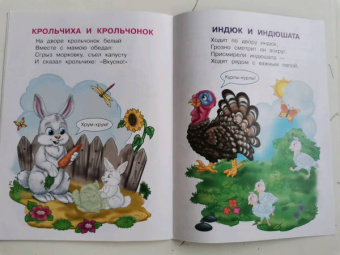 Ирина Шестакова: Домашние животные