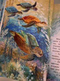 Наталия Немцова: Тайны океана. Сказки для почемучки