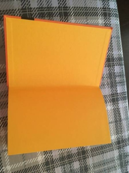 Питер Левин: Пробуждение тигра. Исцеление травмы