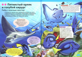 Кармен Родригес: Подводный мир. Большая детская энциклопедия