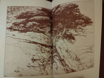 Мур, Шелли, Лонгфелло: Леда и лебедь. Английские, американские и ирландские поэты в переводах Романа Дубровкина