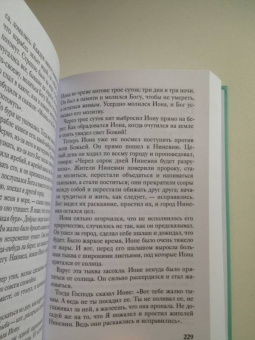 Александр Протоиерей: Библия для детей