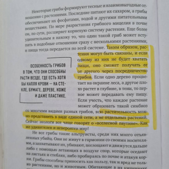 Патриция Уилтшир: Как нашли убийцу? Каждое тело оставляет след