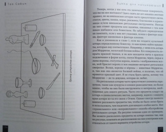 Тея Сабин: Викка для начинающих. Основы философии и практики