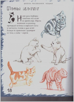 Марк Берджин: Школа рисования. Кошки