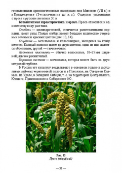 Позняковский, Рязанова, Николаева: Атлас аннотированный. Продукты растительного происхождения. Учебное пособие