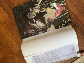 Билл Уиллингхэм: Сказки. Книга 2