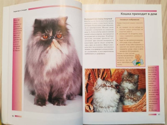 Доминик Кизельбах: Персидская кошка. Содержание и уход