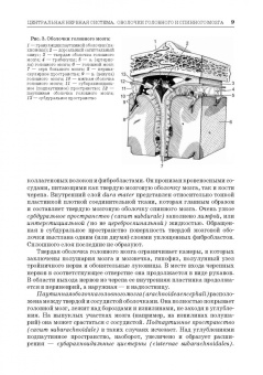 Зеленевский, Щипакин, Былинская: Анатомия животных. Неврология. Особенности строения домашней птицы. Практикум