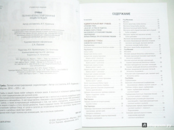 Иван Куреннов: Грибы. Полная иллюстрированная энциклопедия