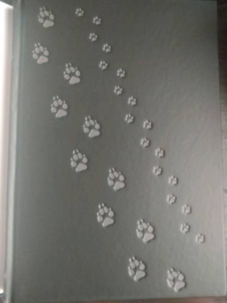 Роджер Желязны: Ночь в тоскливом октябре. Подарочное иллюстрированное издание