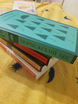 Харуки Мураками: Норвежский лес