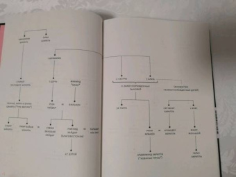 Салман Рушди: Стыд