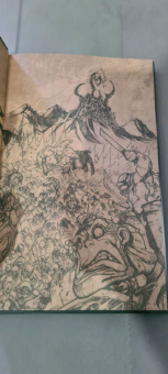 Микки Нельсон: World of Warcraft. Испепелитель