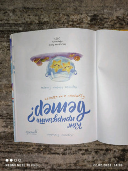 Анастасия Безлюдная: Как приручить ветер? Брумлики и их шалости