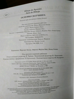 Основы скетчинга
