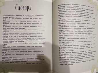 Бен Хоар: Удивительные животные. Энциклопедия