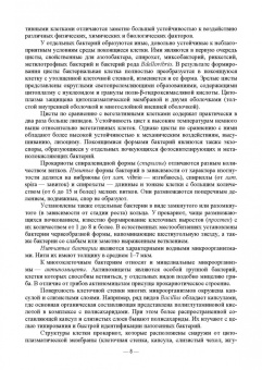 Сахно, Ватников, Шевченко: Экосистемы микроорганизмов. Учебное пособие для СПО