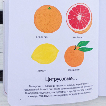 Гибер де: Как они растут?
